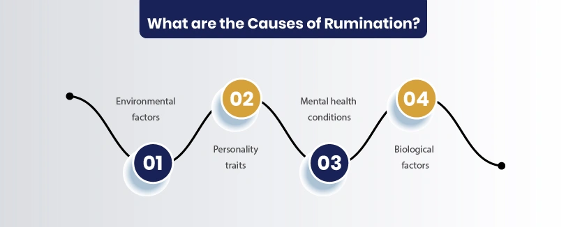 what develops rumination