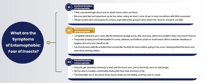 signs of entomophobia