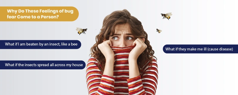 phobia of bugs crawling on